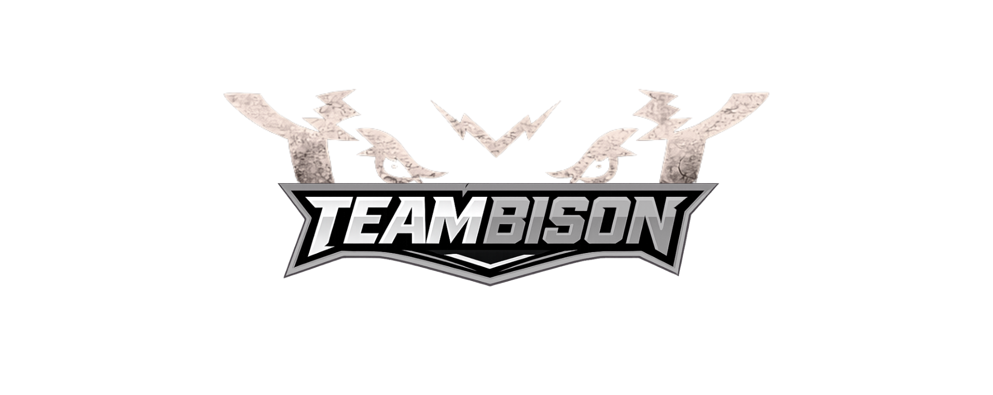 TeamBison Hybrid Coaching