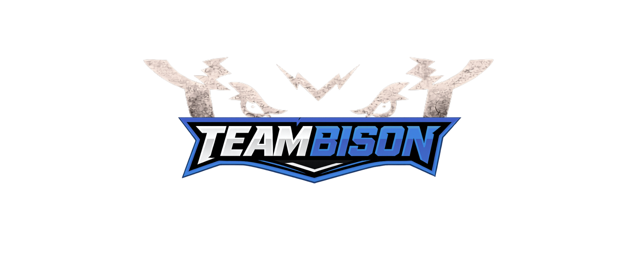 TeamBison Programming+